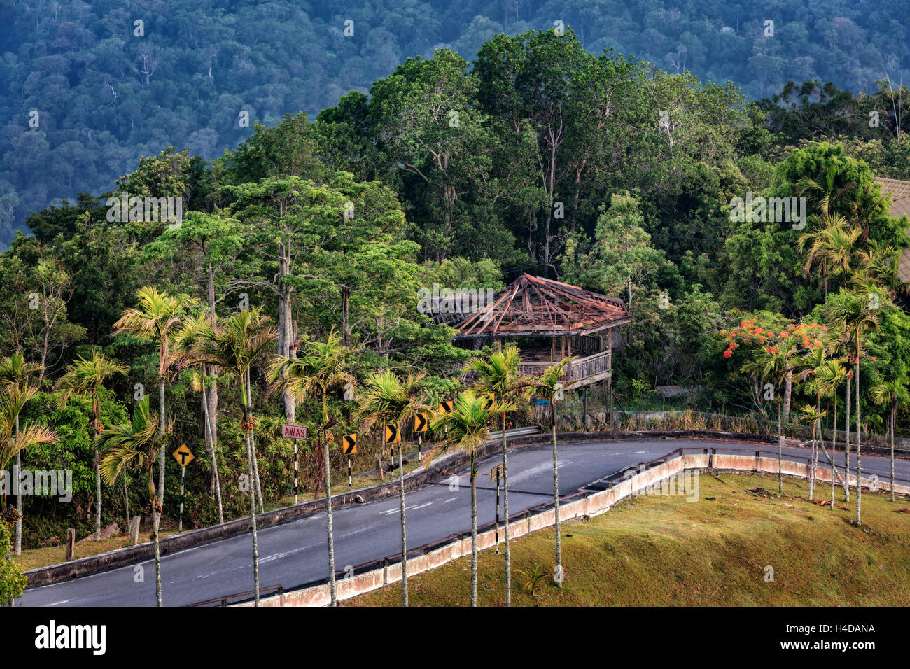 Tropical rainforest on the Gulung Raja, the highest mountain on Lankawi, Malaysia, break dawn, Stock Photo