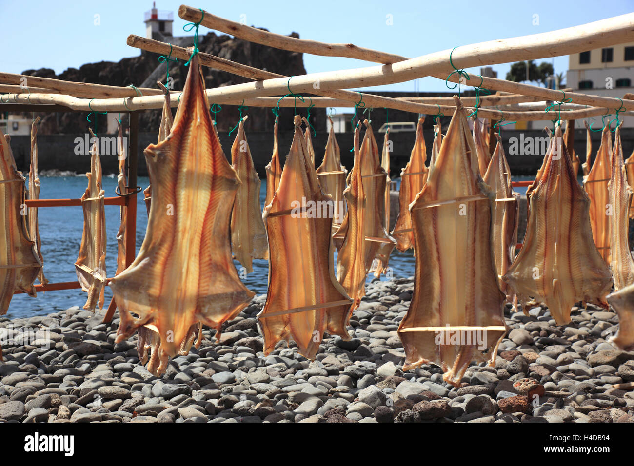 Madeira, Camara de Lobos, dry fish, dry cat's shark, Stock Photo