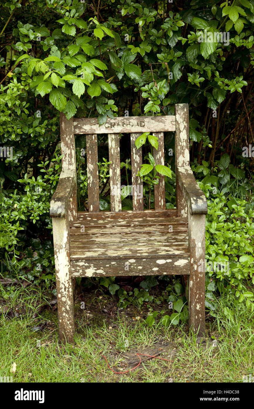 Chair Inscription Examples Chair, inscription, plants, rain Stock Photo - Alamy
