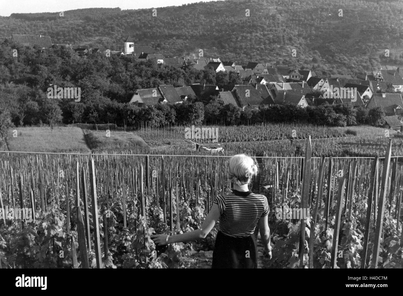 Ein Ausflug in die Weinstadt Schnait, Deutschland 1930er Jahre. A trip to the wine city Schnait, Germany 1930s. Stock Photo