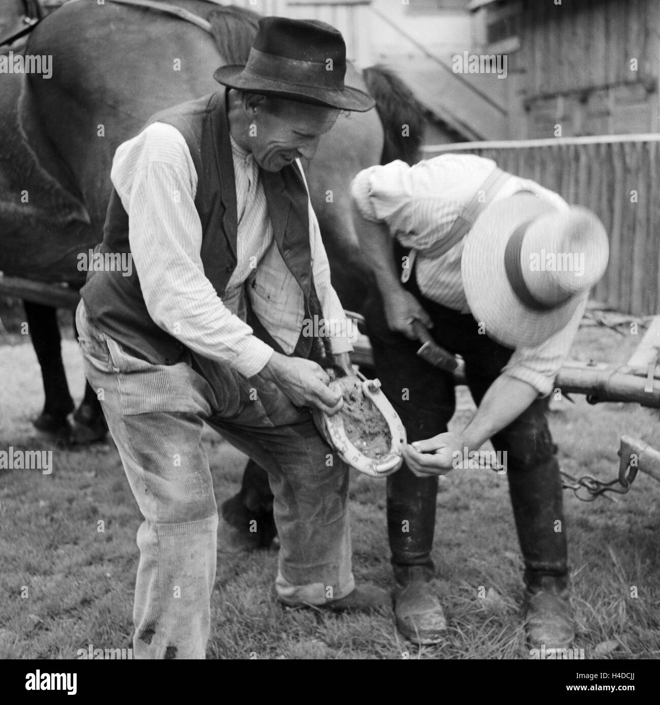 Ein Hufschmied bestückt ein Pferd mit neuen Hufeisen, Deutschland 1930er Jahre. A blacksmith putting new horseshoes on a horse, Germany 1930s. Stock Photo