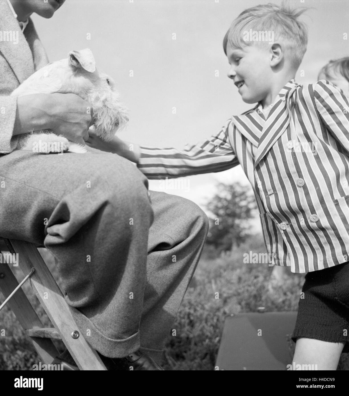 Ein kleiner Junge streichelt einen Foxterrier, Deutschland 1930er Jahre. A little boy with a fox terrier, Germany 1930s. Stock Photo