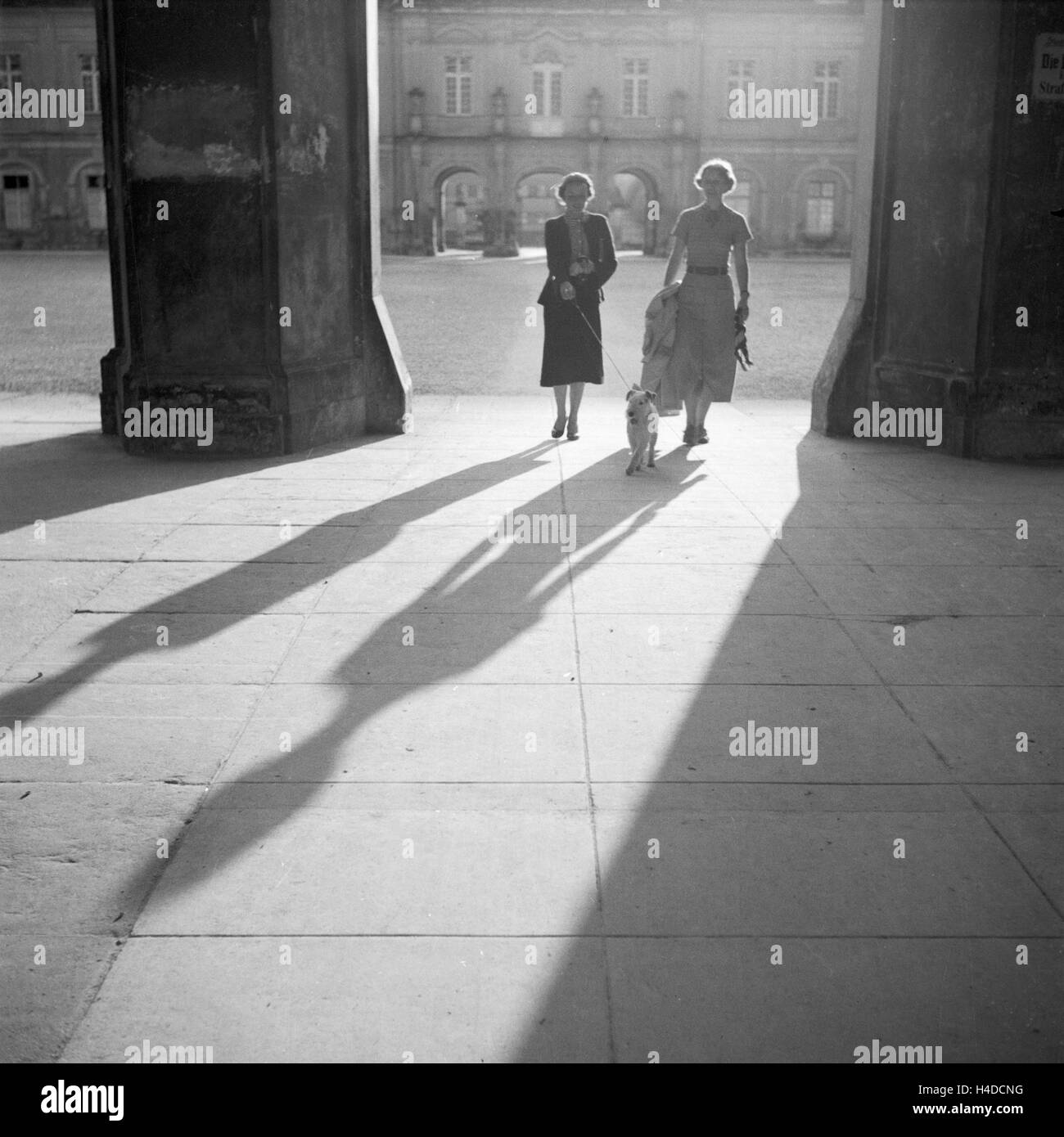 Zwei junge Frauen gehen in der Stadt mit dem Hund spazieren, Deutschland 1930er Jahre. Two young women walking the dog in the city, Germany 1930s. Stock Photo
