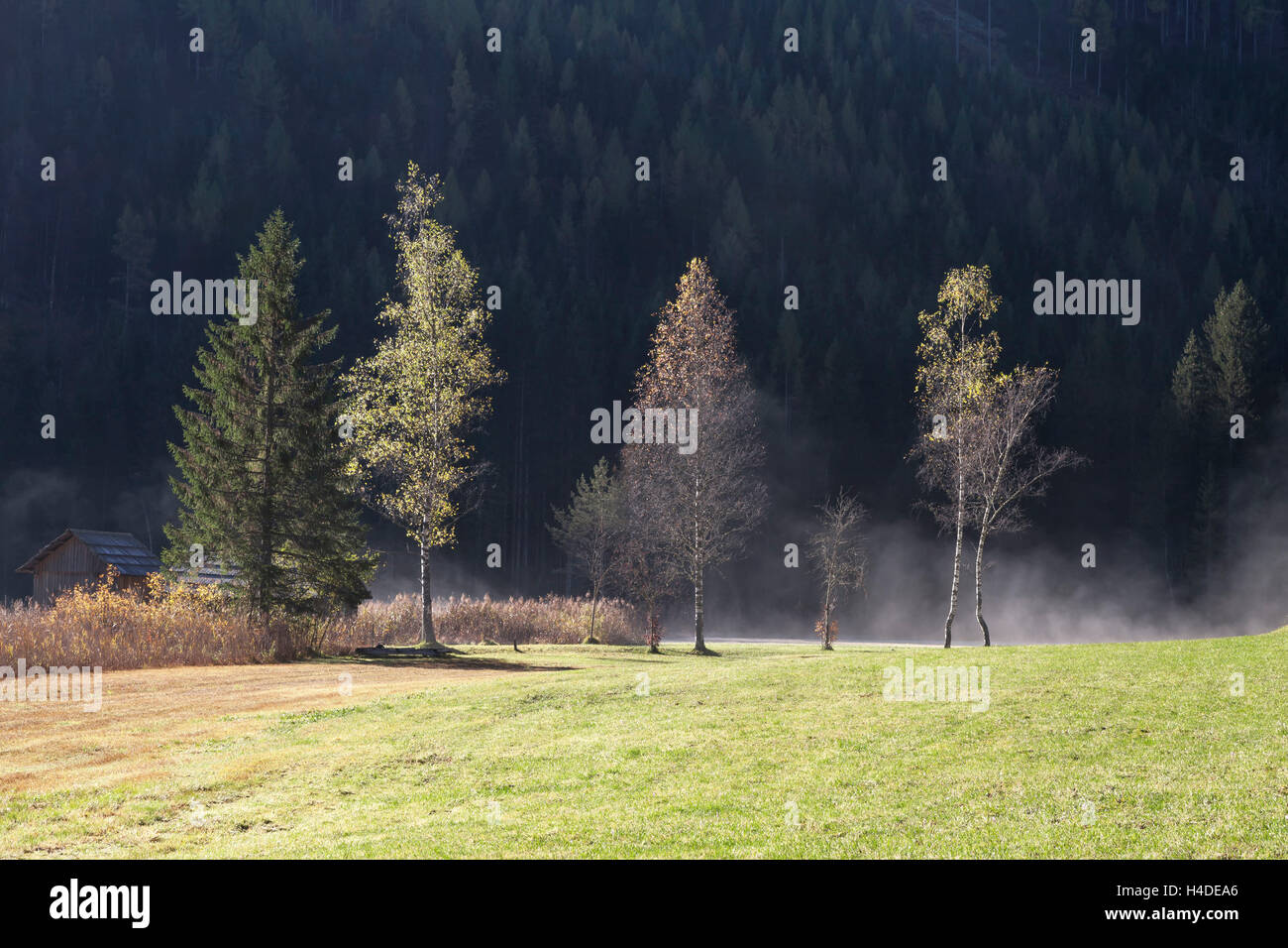 Scenery at Stockenboi (village), Carinthia Stock Photo