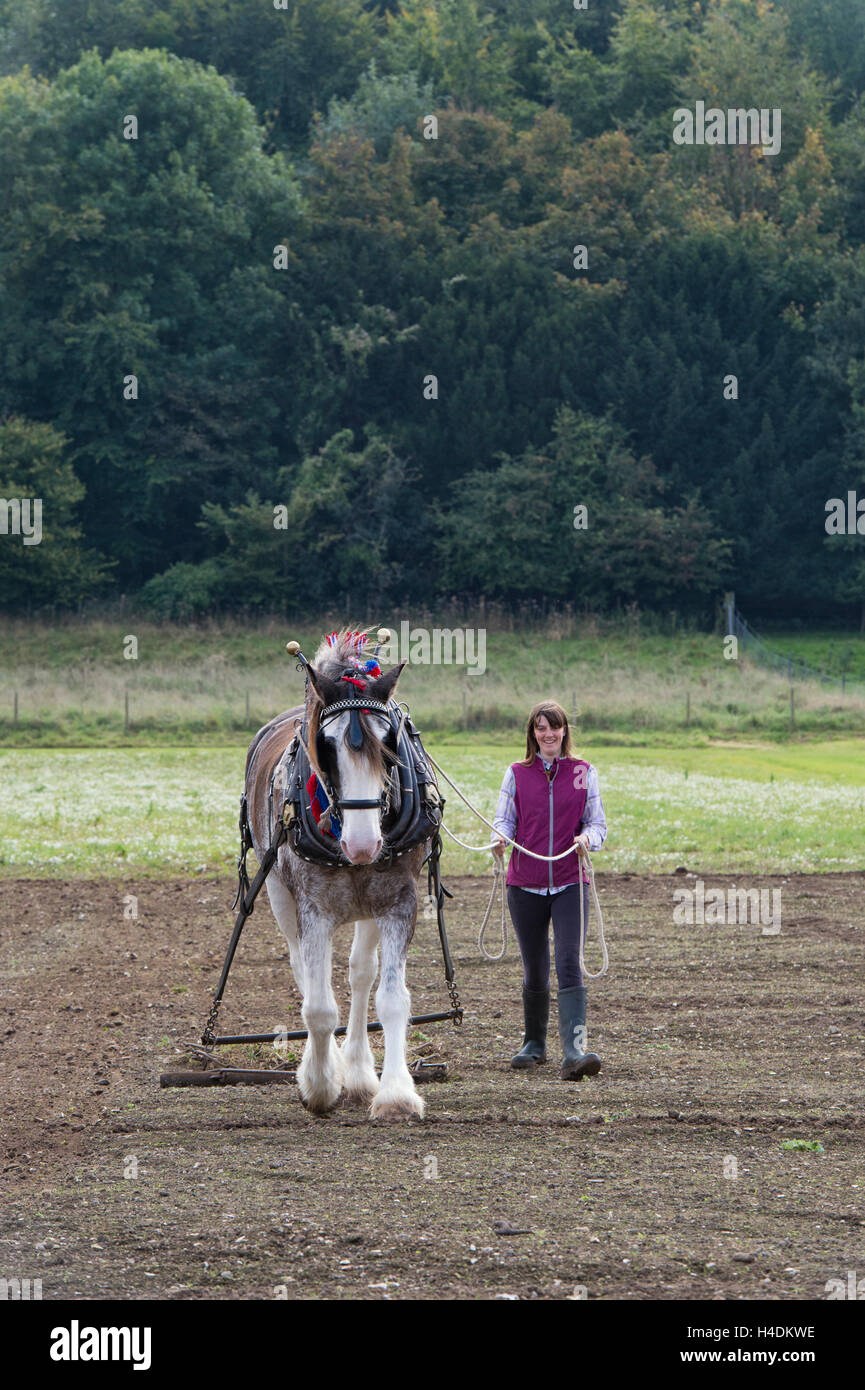Horse drawn harrow hires stock photography and images Alamy