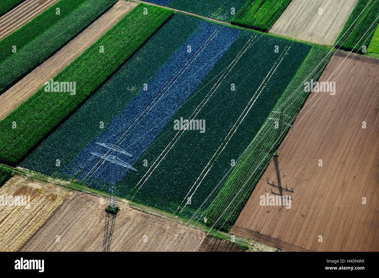 Aerial picture, Stuttgart, agrarian surfaces the university high home Stock Photo