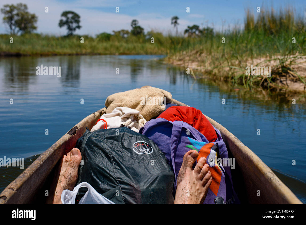 On the way with the Mokoro by the Okavango delta Stock Photo