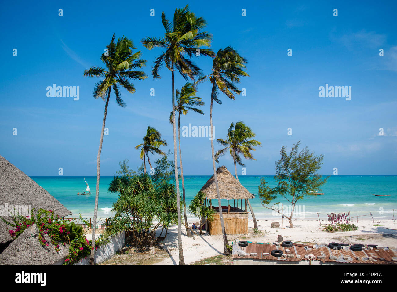Nice beach close to Paje on Zanzibar Stock Photo