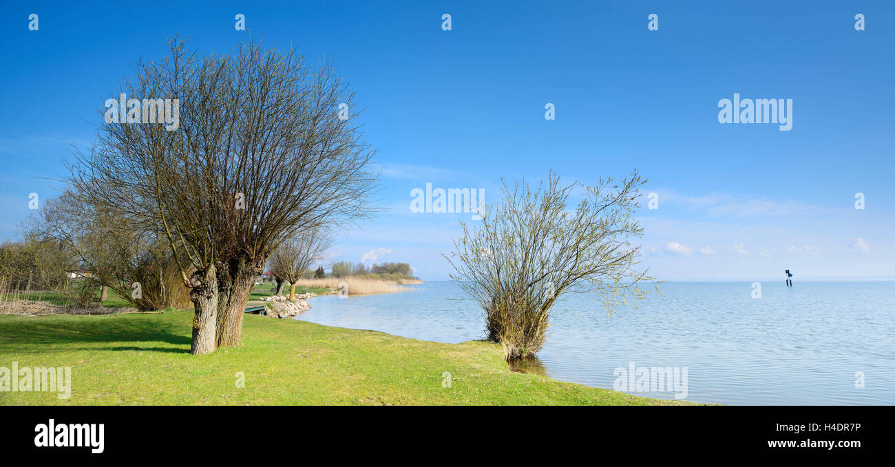Germany, Mecklenburg-West Pomerania, with Röbel, quiet bay on the west shore the Müritz, bath place, spring Stock Photo