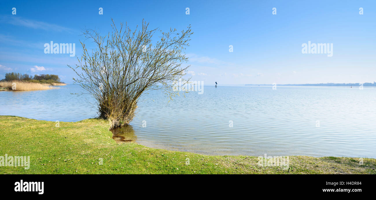 Germany, Mecklenburg-West Pomerania, with Röbel, quiet bay on the west shore the Müritz, bath place, spring Stock Photo