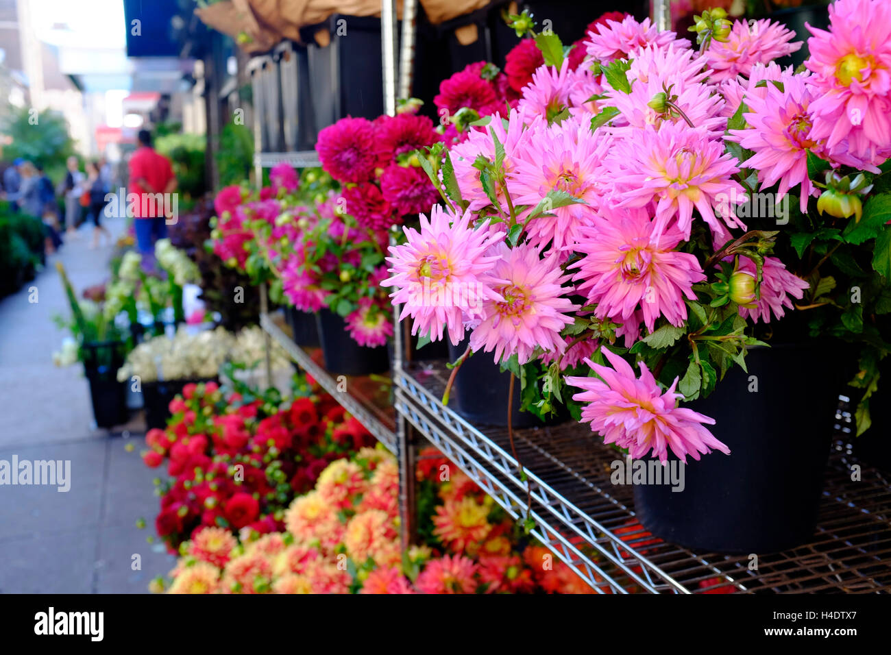 Fresh flowers for sale on the sidewalk at Flower District. Manhattan,New York City,USA Stock