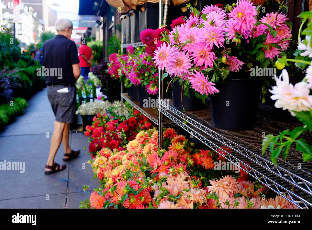 New york wholesale flower district hires stock photography and images