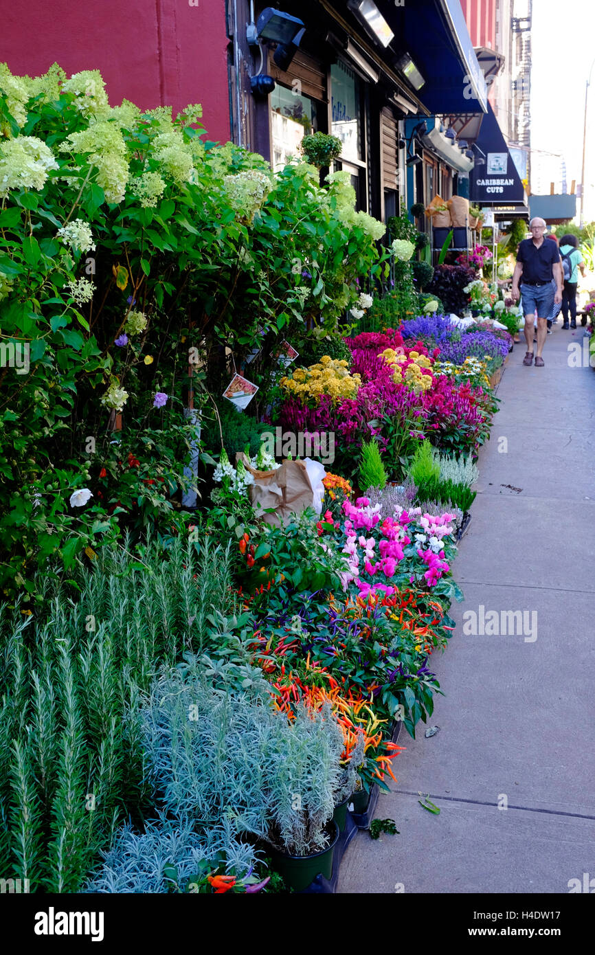 Fresh flowers for sale on the sidewalk at Flower District. Manhattan