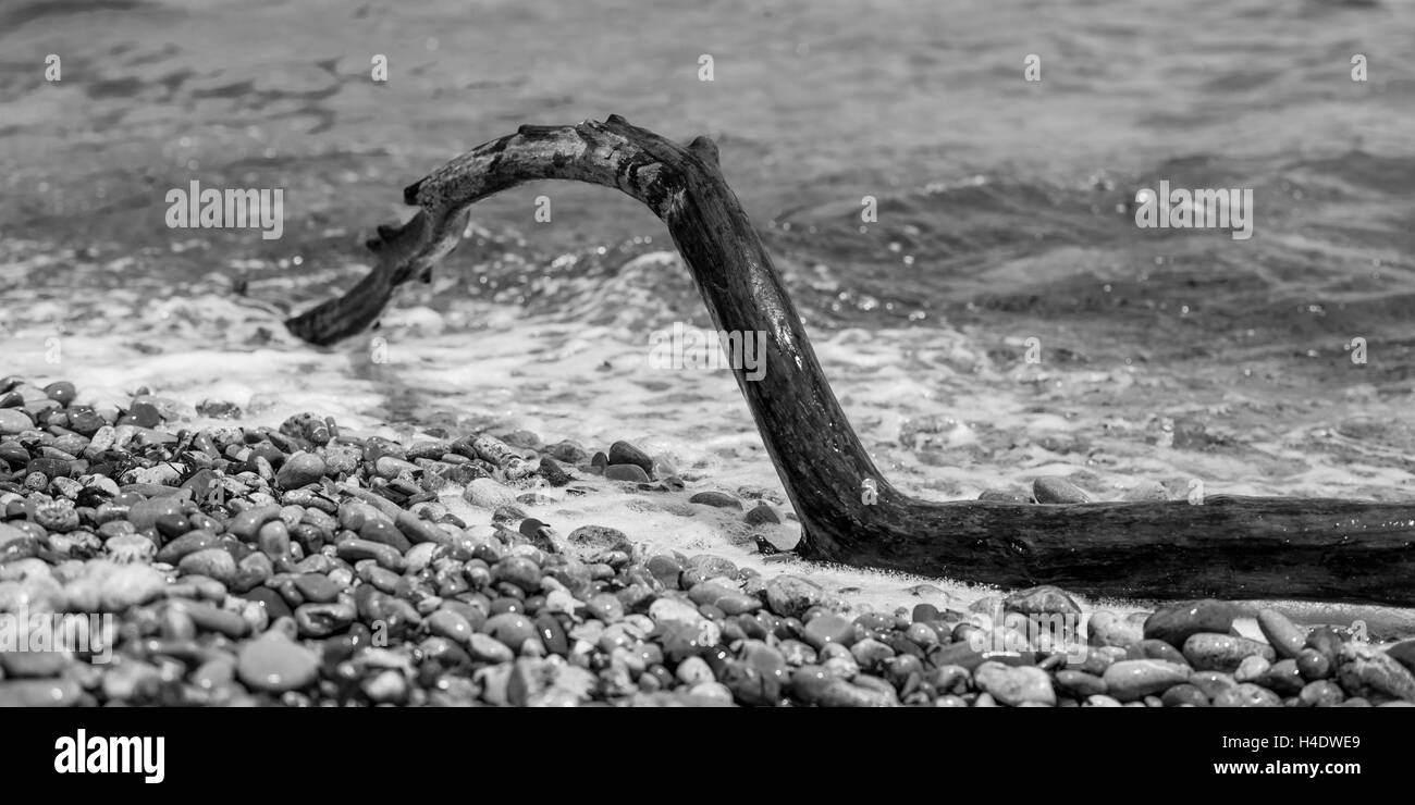 Beach, pebbles, driftwood, branch, Stock Photo