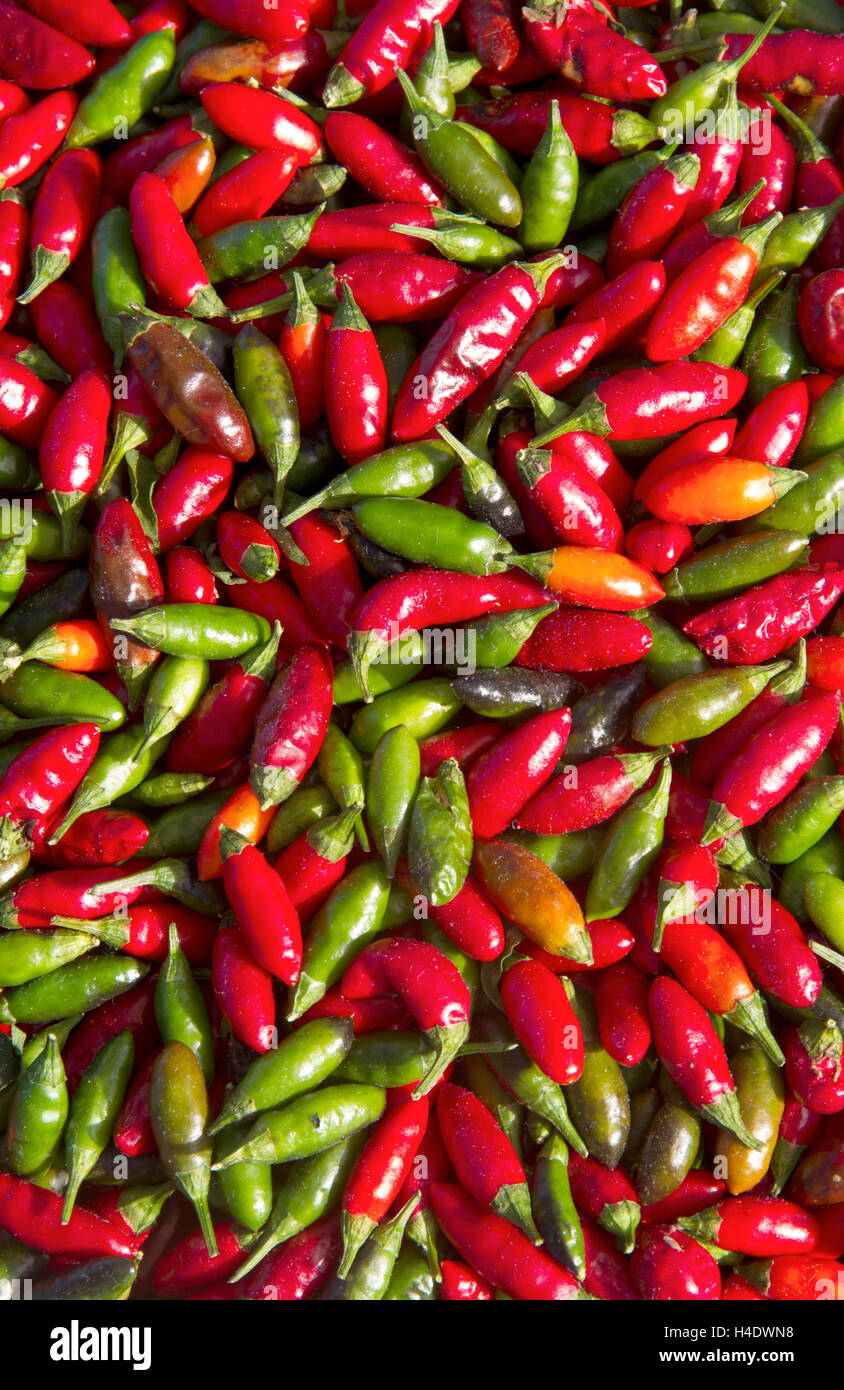 Red and green chili background Stock Photo - Alamy