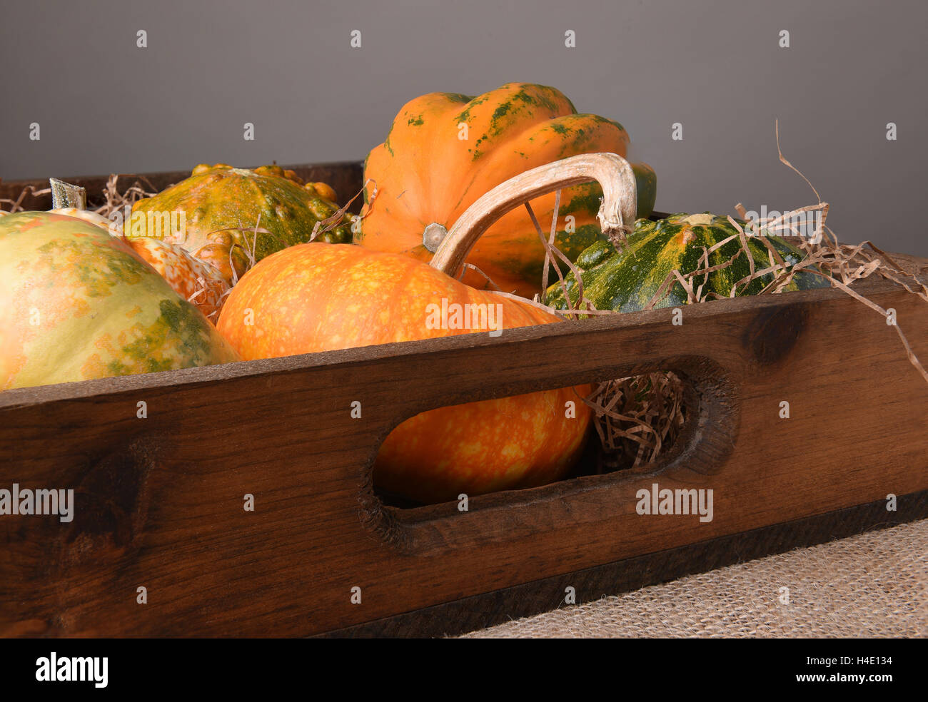 Various Autumn gourds, decorative pumpkins and squash in a wood box. Stock Photo