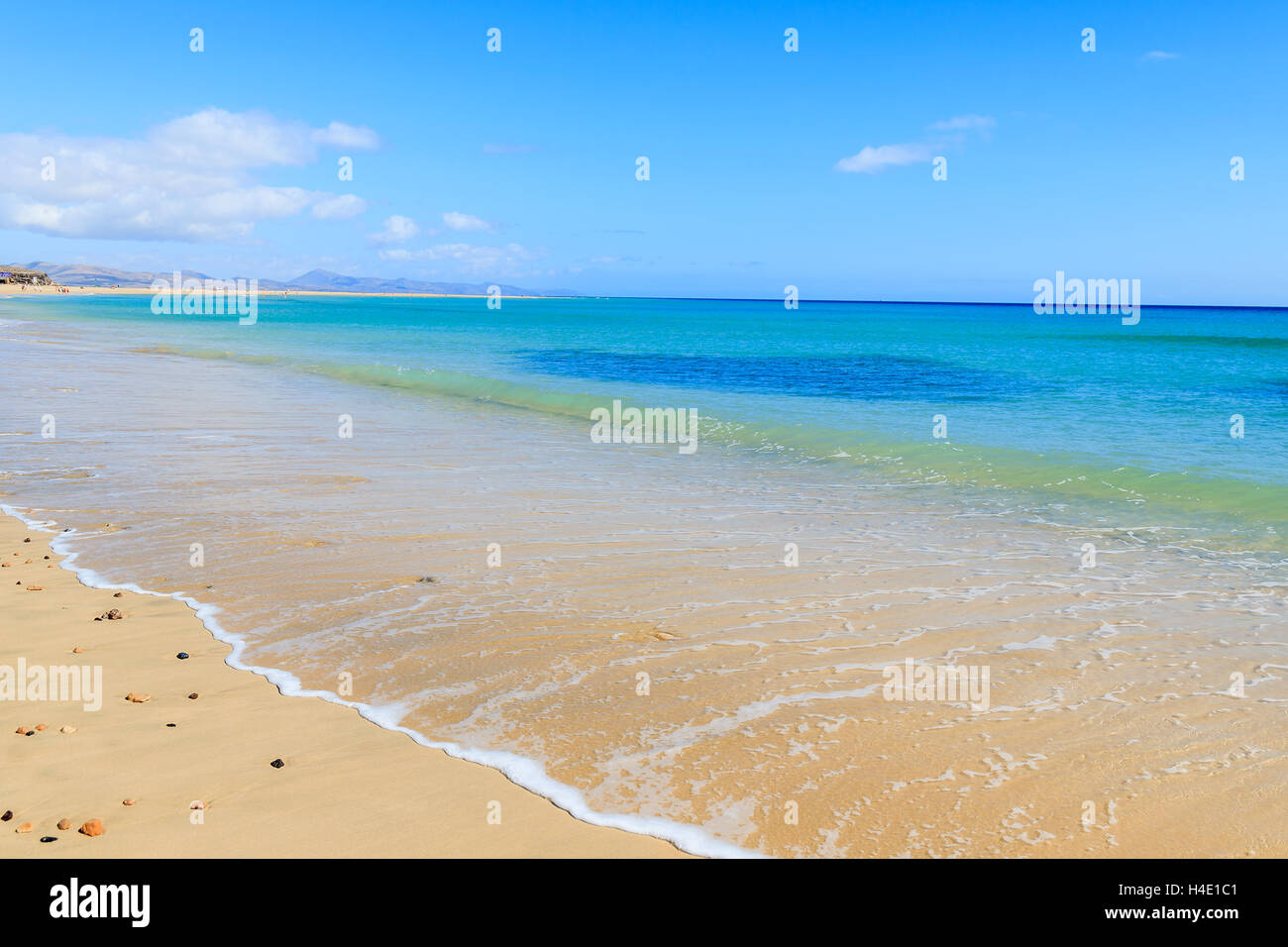 Beautiful Golden Sand And Turquoise Azure Sea Water On Sotavento Beach beautiful-golden-sand-and-turquoise-azure-sea-water-on-sotavento-beach