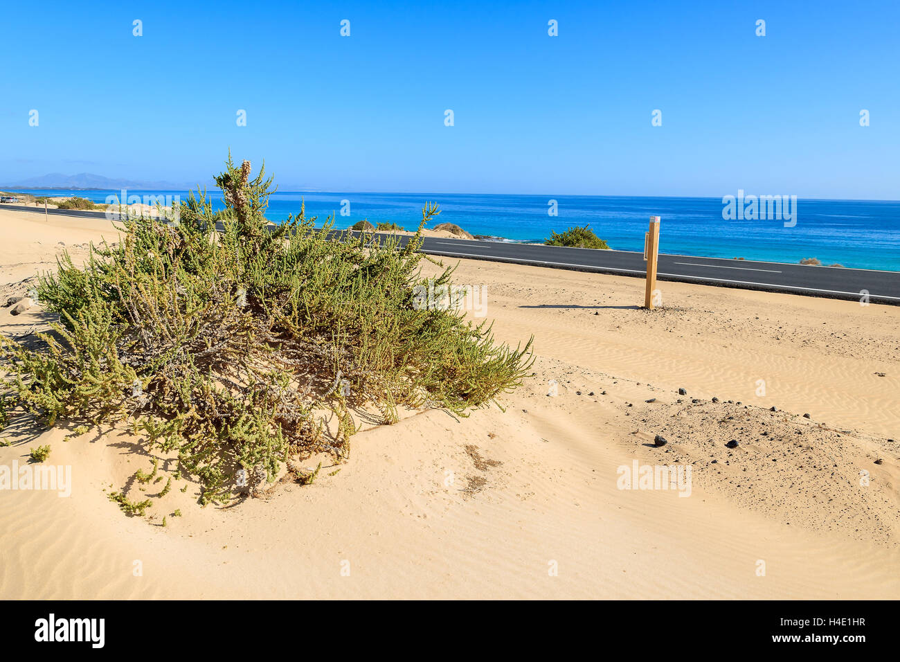 Sand dunes in Corralejo National Park and view of sea and road, Fuerteventura, Canary Islands, Spain Stock Photo