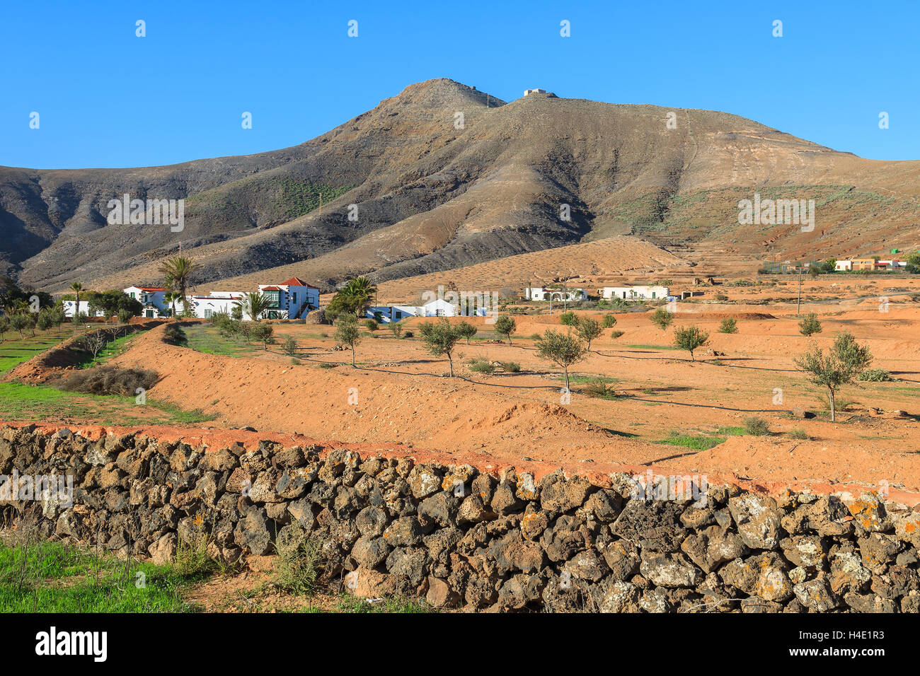 Farming fields in rural area of Tefia village, Fuerteventura, Canary Islands, Spain Stock Photo