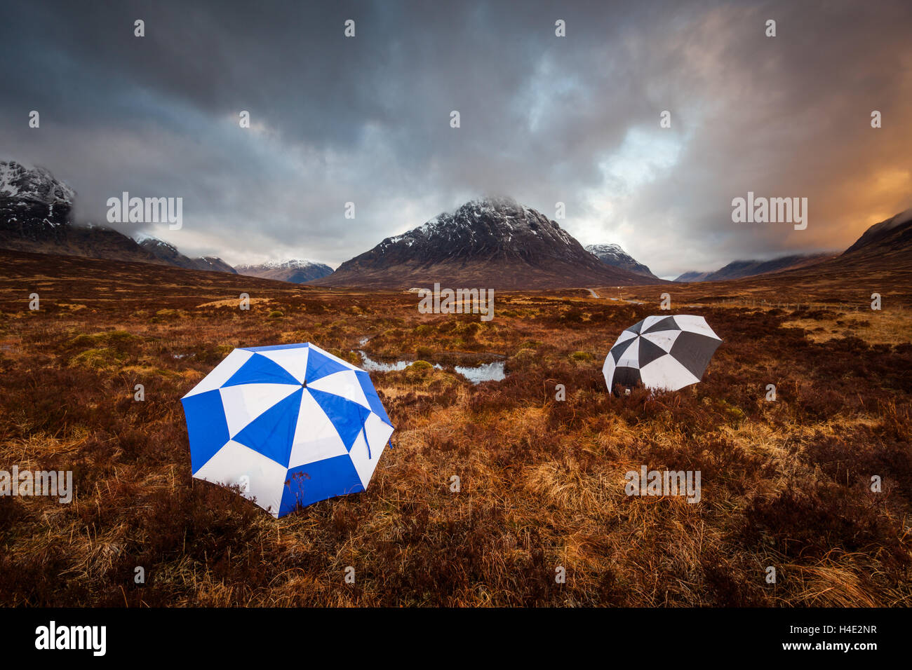 Boggy Land High Resolution Stock Photography and Images Alamy