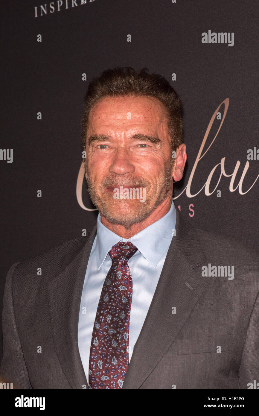 Arnold Schwarzenegger arrives at Premiere Of Mr. Church at Arclight Theater in Hollywood on September 6th, 2016 in Hollywood, California. Stock Photo