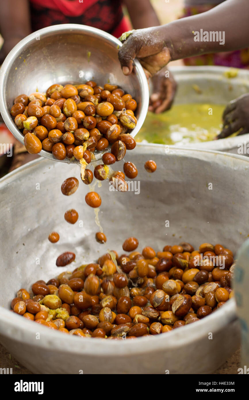 Shea nuts are washed after the fruit is removed as part of the shea
