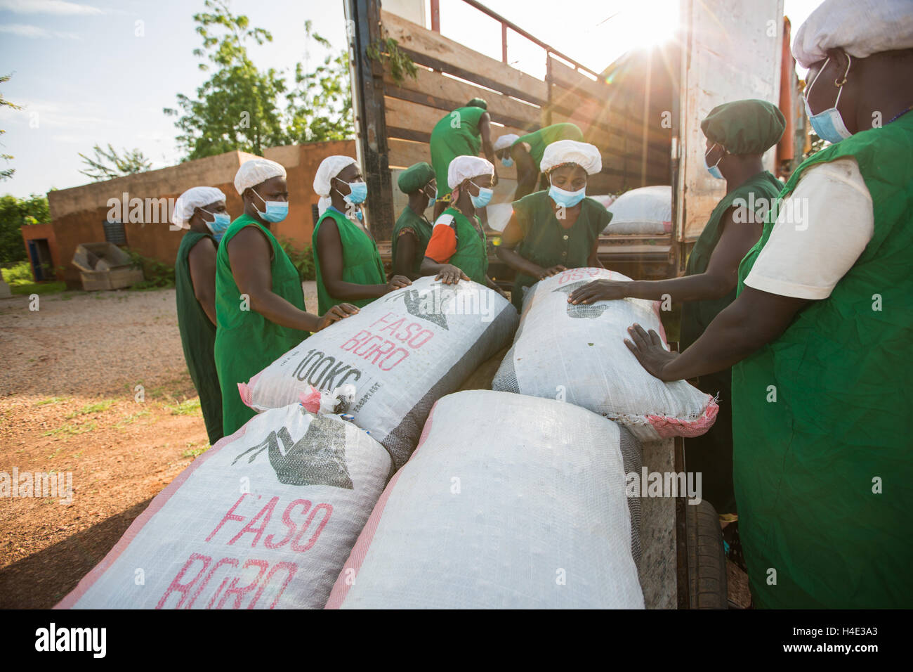Bags of shea nuts are unloaded at a warehouse for shea butter production in Réo Burkina Faso, West Africa. Stock Photo