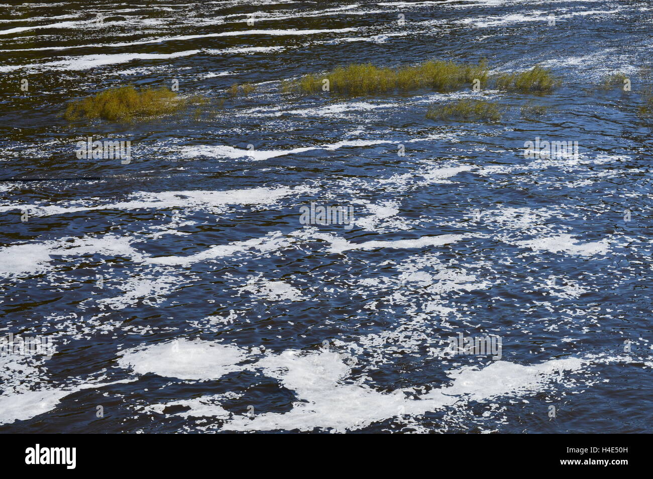 High Water Level in the River Stock Photo Alamy