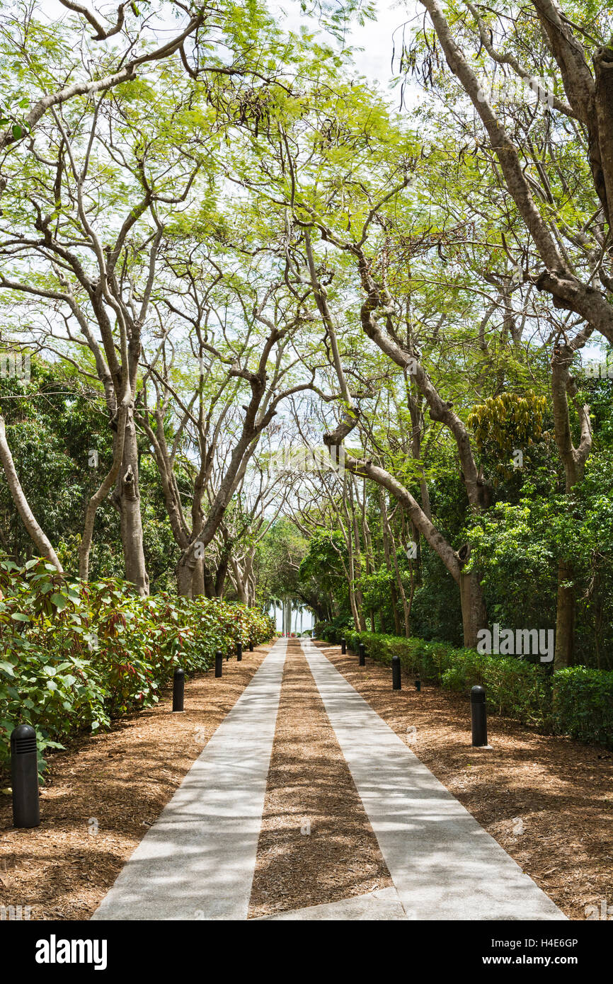Florida, MaimiDade County, Palmetto Bay, The Deering Estate at Cutler