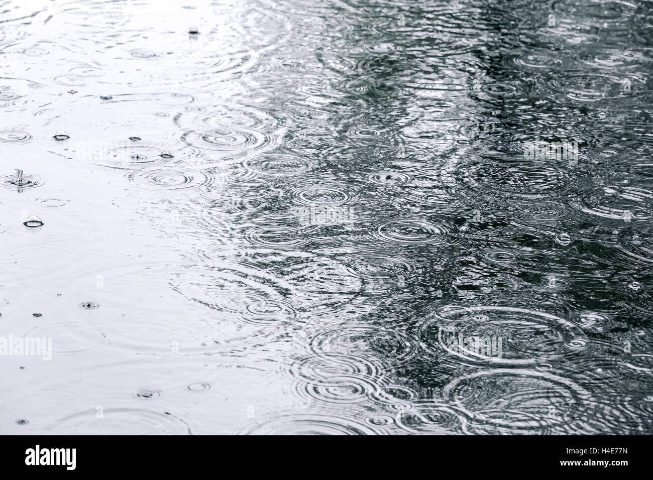 raindrops and sky reflection on water surface of puddle on pavement ...