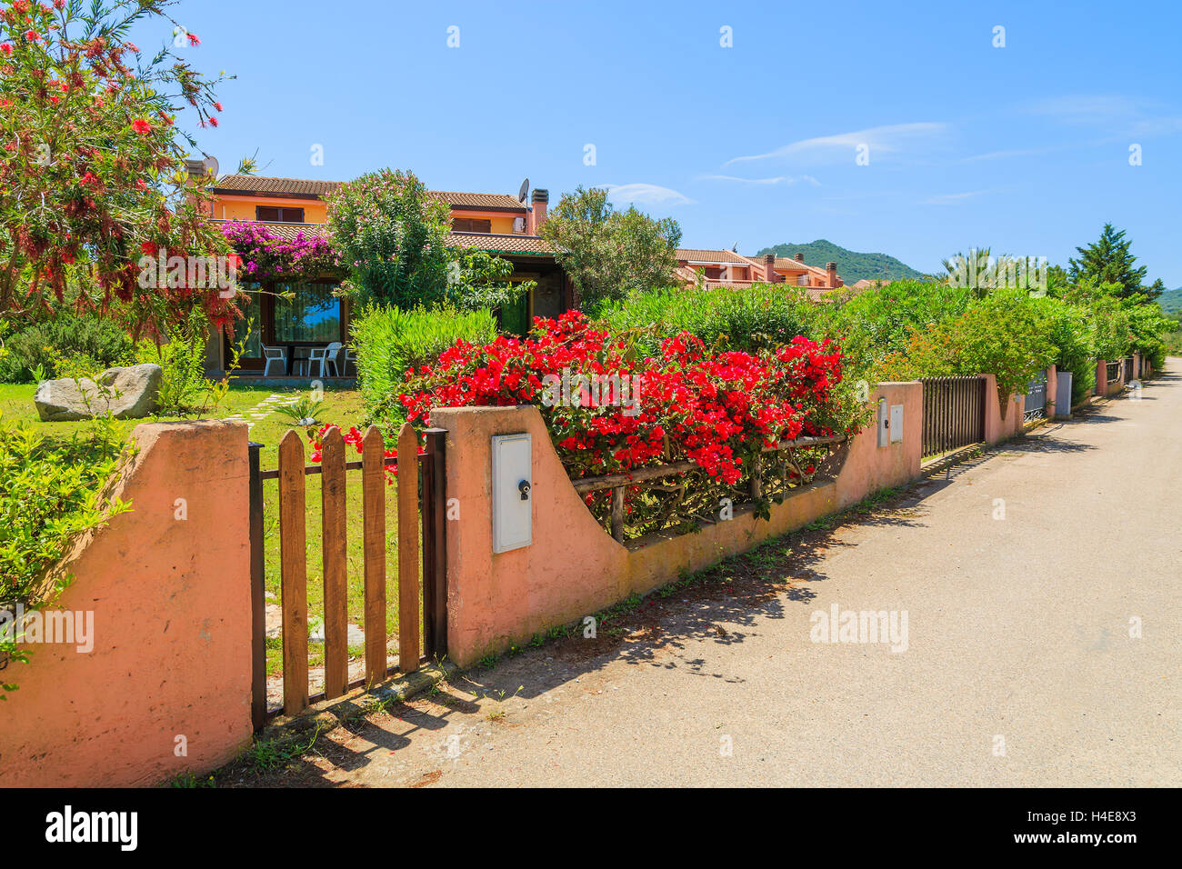Flowers in garden of holiday villa houses on a street in Costa Rei town, Sardinia island, Italy Stock Photo