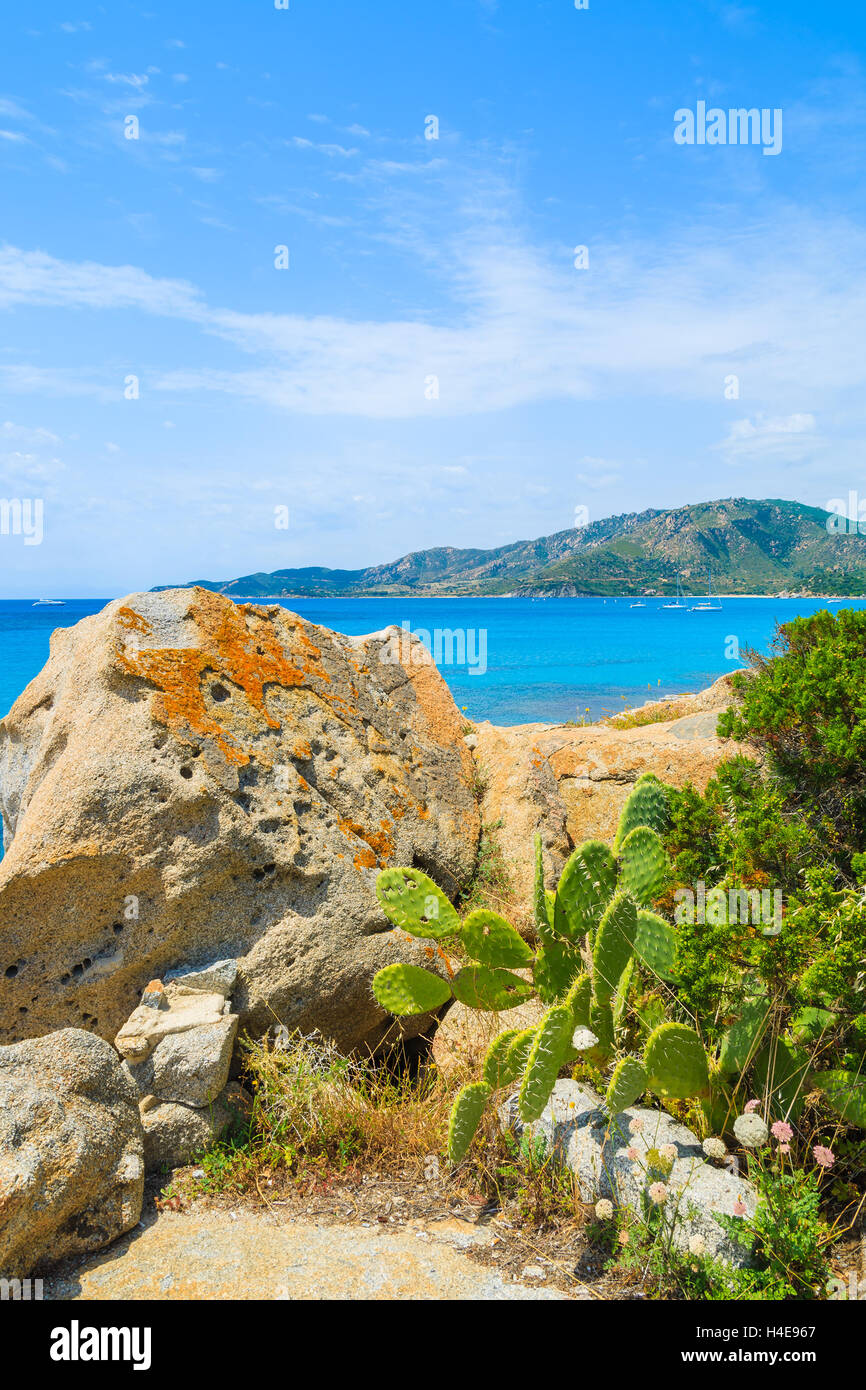 Rocks and green cactus plants near Spiaggia del Riso beach, Sardinia island, Italy Stock Photo