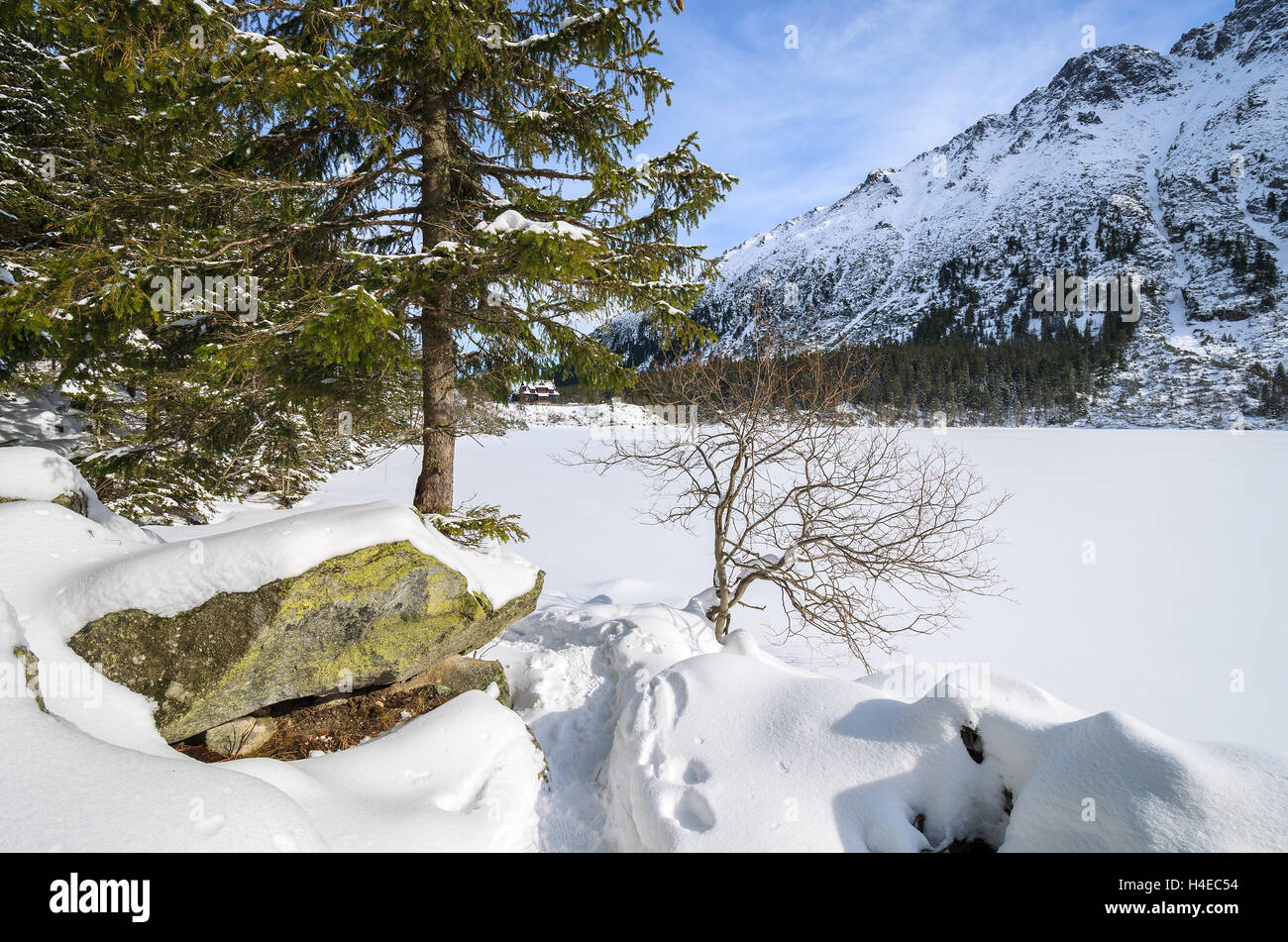 Covered With Snow Beautiful Morskie Oko Lake In Winter High Tatra covered-with-snow-beautiful-morskie-oko-lake-in-winter-high-tatra
