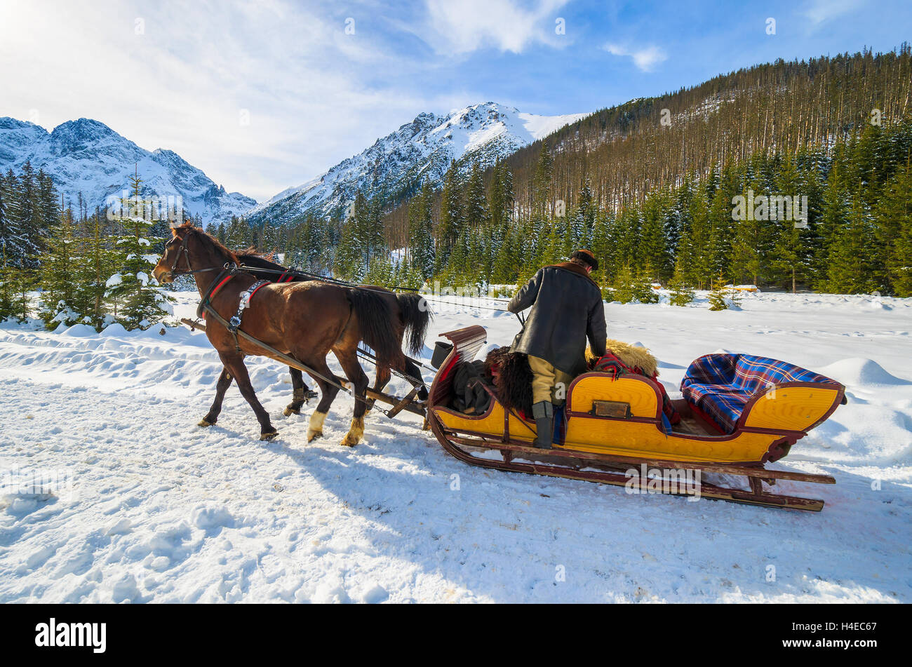 Horse sleigh carriage to Morskie Oko lake in winter, High Tatra Mountains, Poland Stock Photo