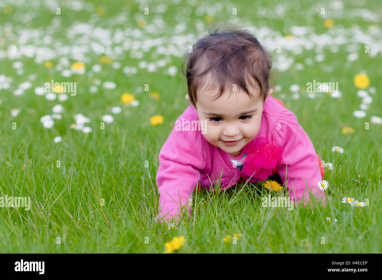 Cute chubby toddler crawling on the grass exploring nature outdoors in the park Stock Photo