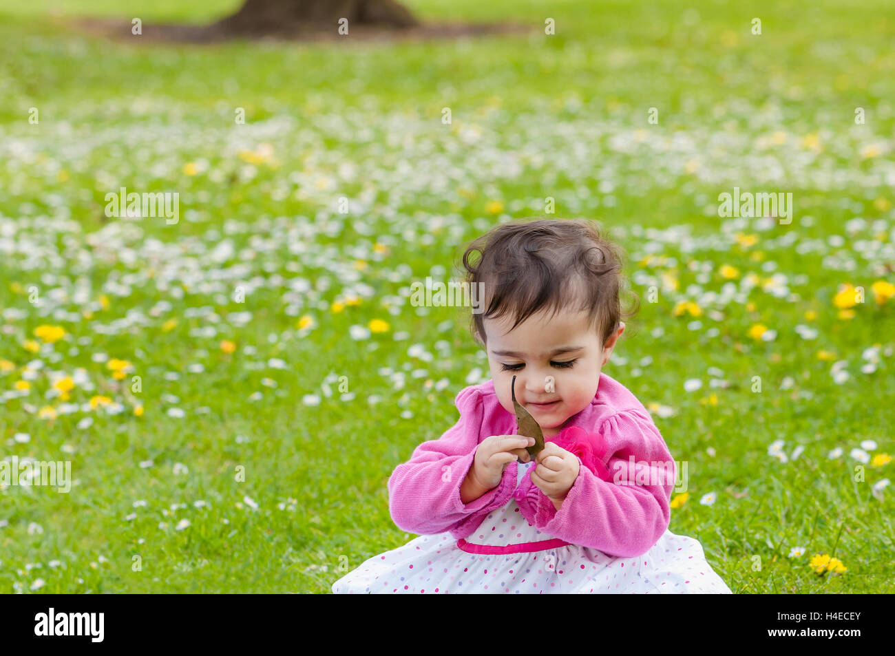 Cute chubby toddler looking at a leaf curiously exploring nature outdoors in the park Stock Photo