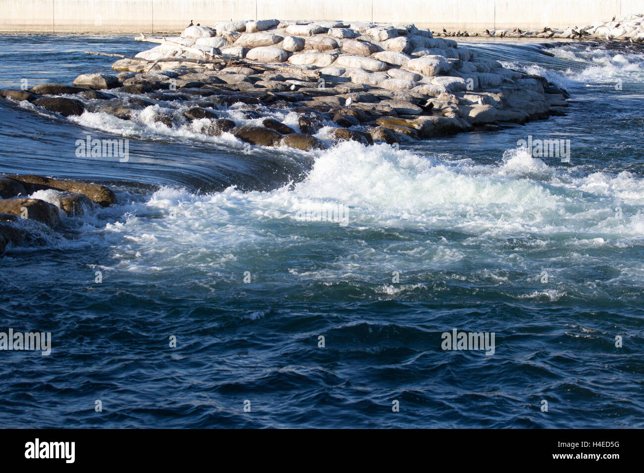Harvie Passage, weir and recreation facility for water sports on the Bow River, Calgary Stock