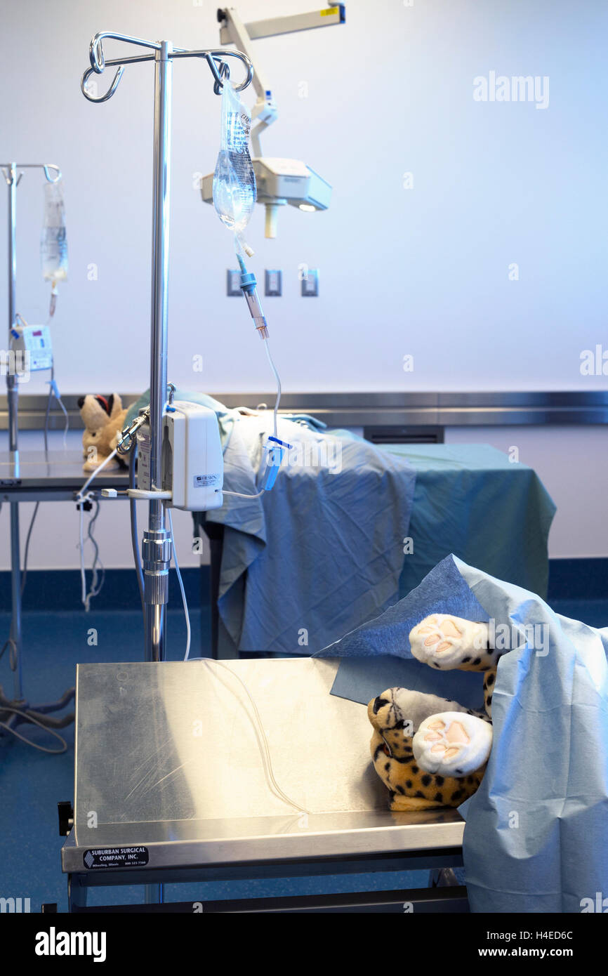 Faculty of Veterinary Medicine, University of Calgary VETUCAN program