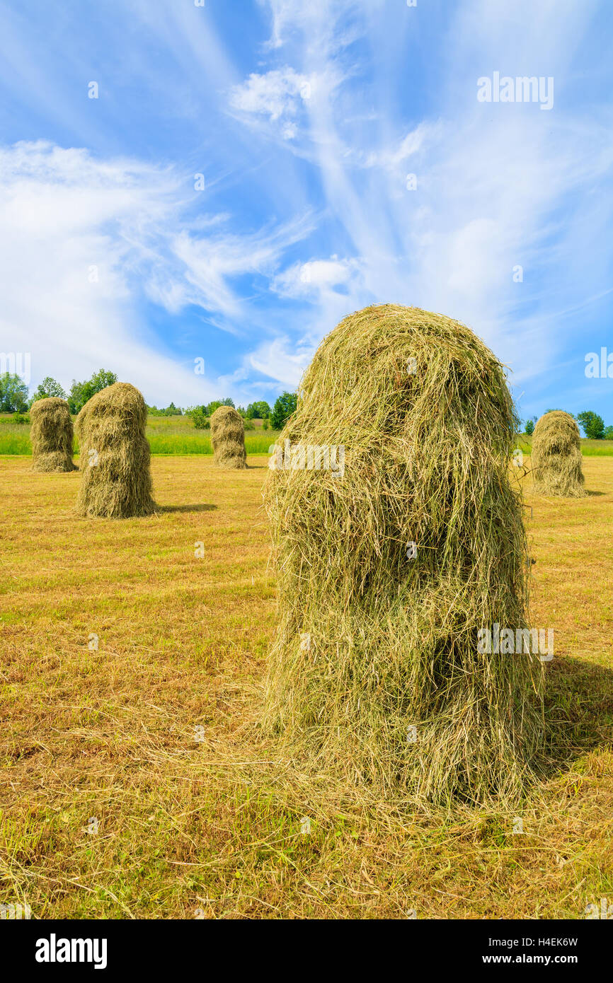 Hay bales on farming field in summer landscape, Gliczarow Gorny, Tatra Mountains, Poland Stock Photo