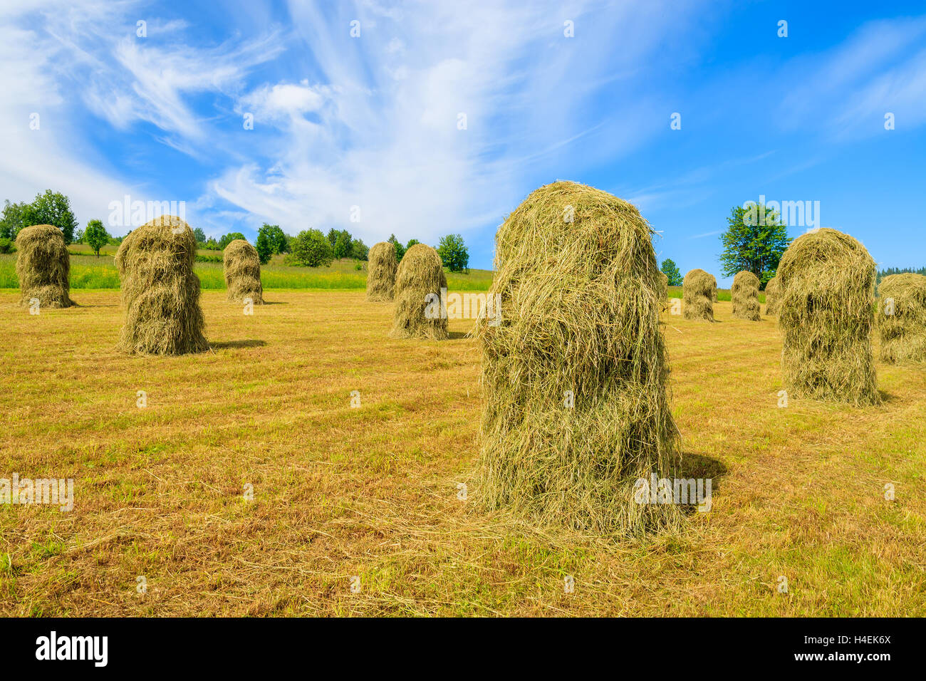 Hay bales on farming field in summer landscape, Gliczarow Gorny, Tatra Mountains, Poland Stock Photo