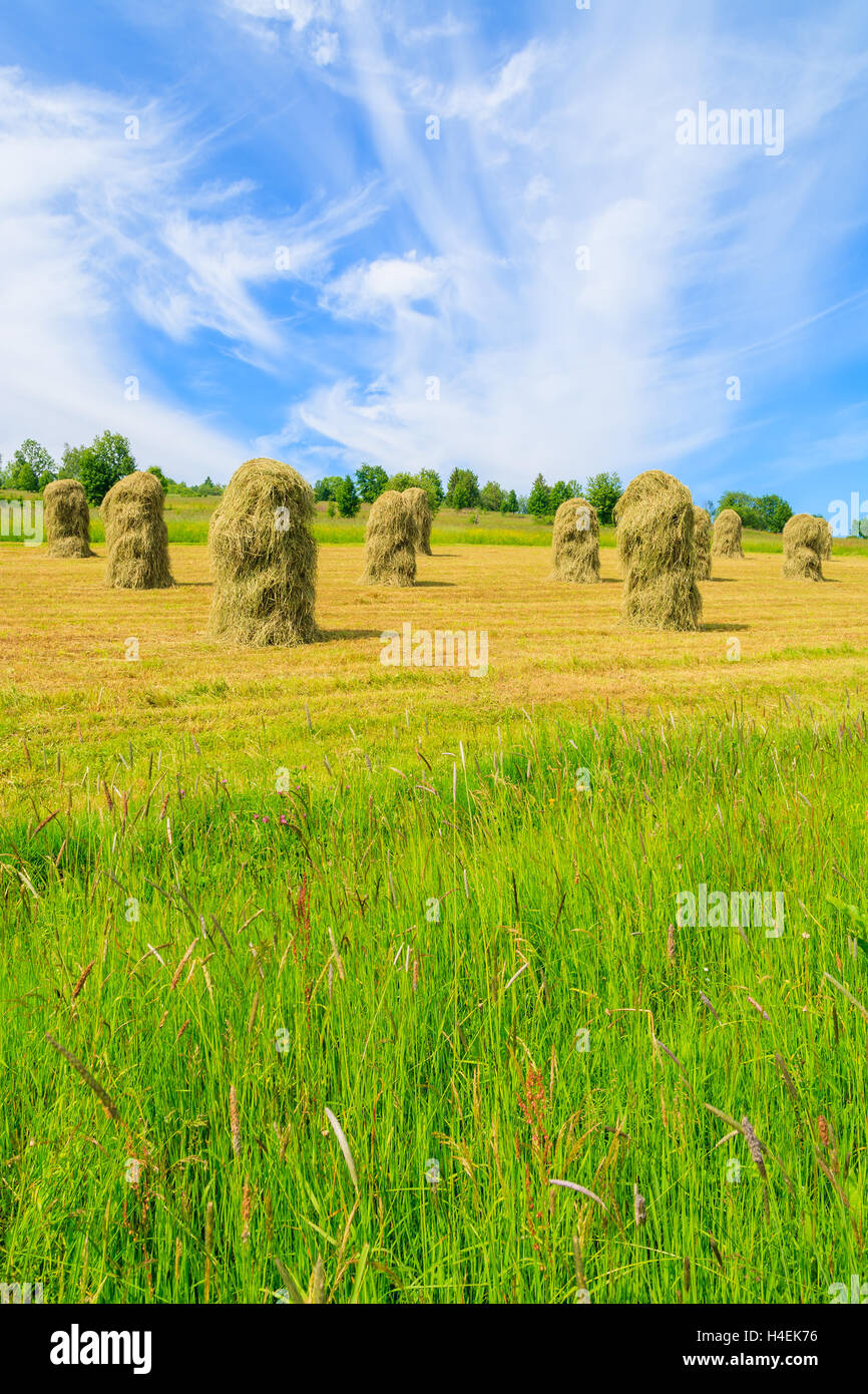 Hay bales on green field in summer landscape, Gliczarow Gorny, Tatra Mountains, Poland Stock Photo