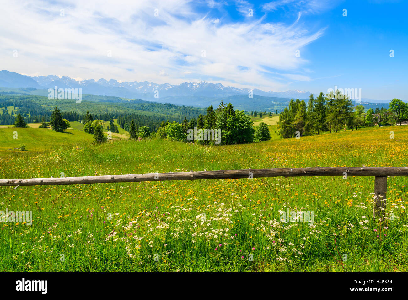 Wooden fence on green meadow with mountains view, Lapszanka, Tatry Mountains Stock Photo