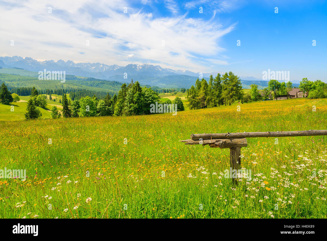 Wooden fence on green meadow with mountains view, Lapszanka, Tatry Mountains Stock Photo