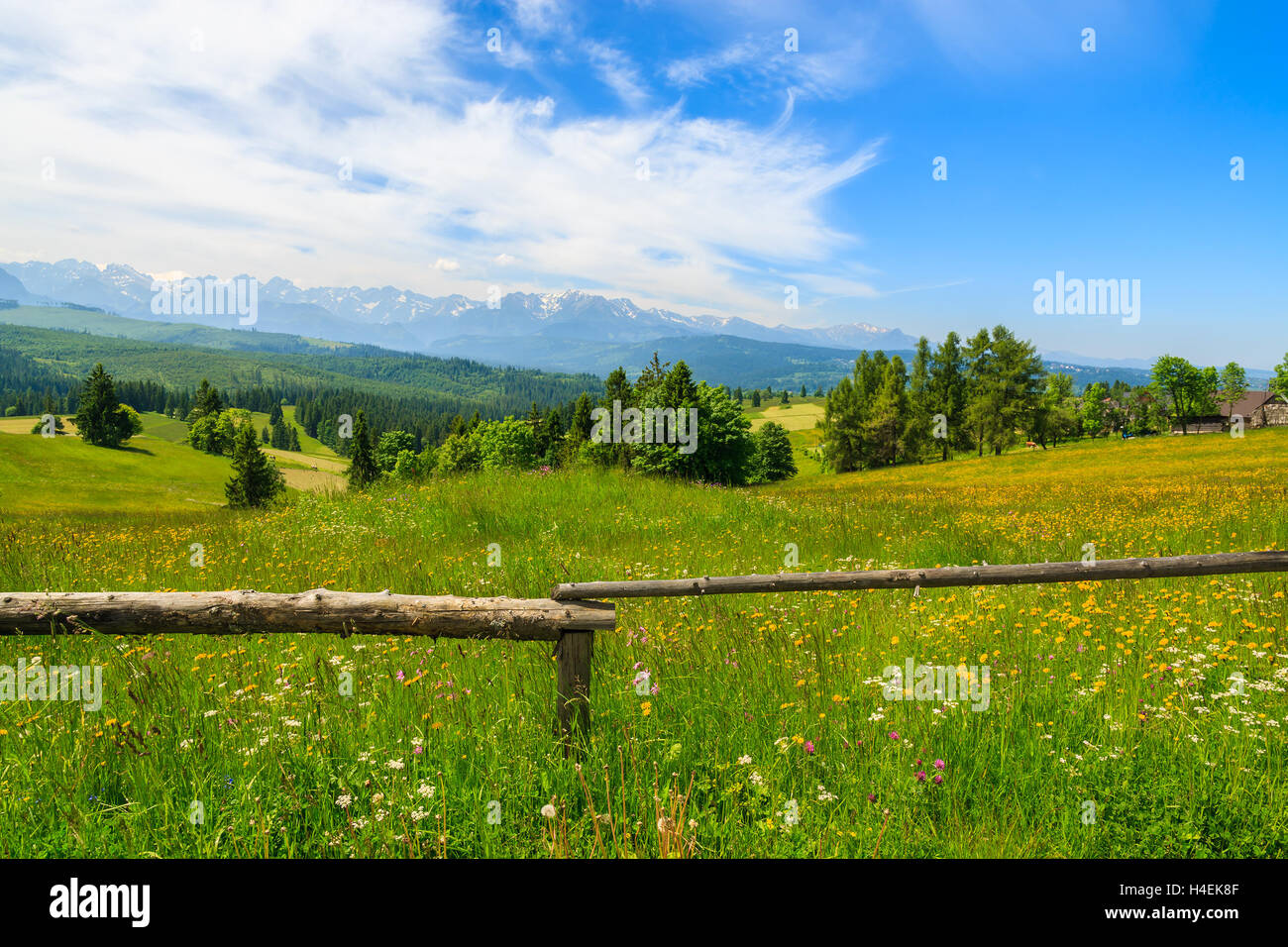 Wooden fence on green meadow with mountains view, Lapszanka, Tatry Mountains Stock Photo
