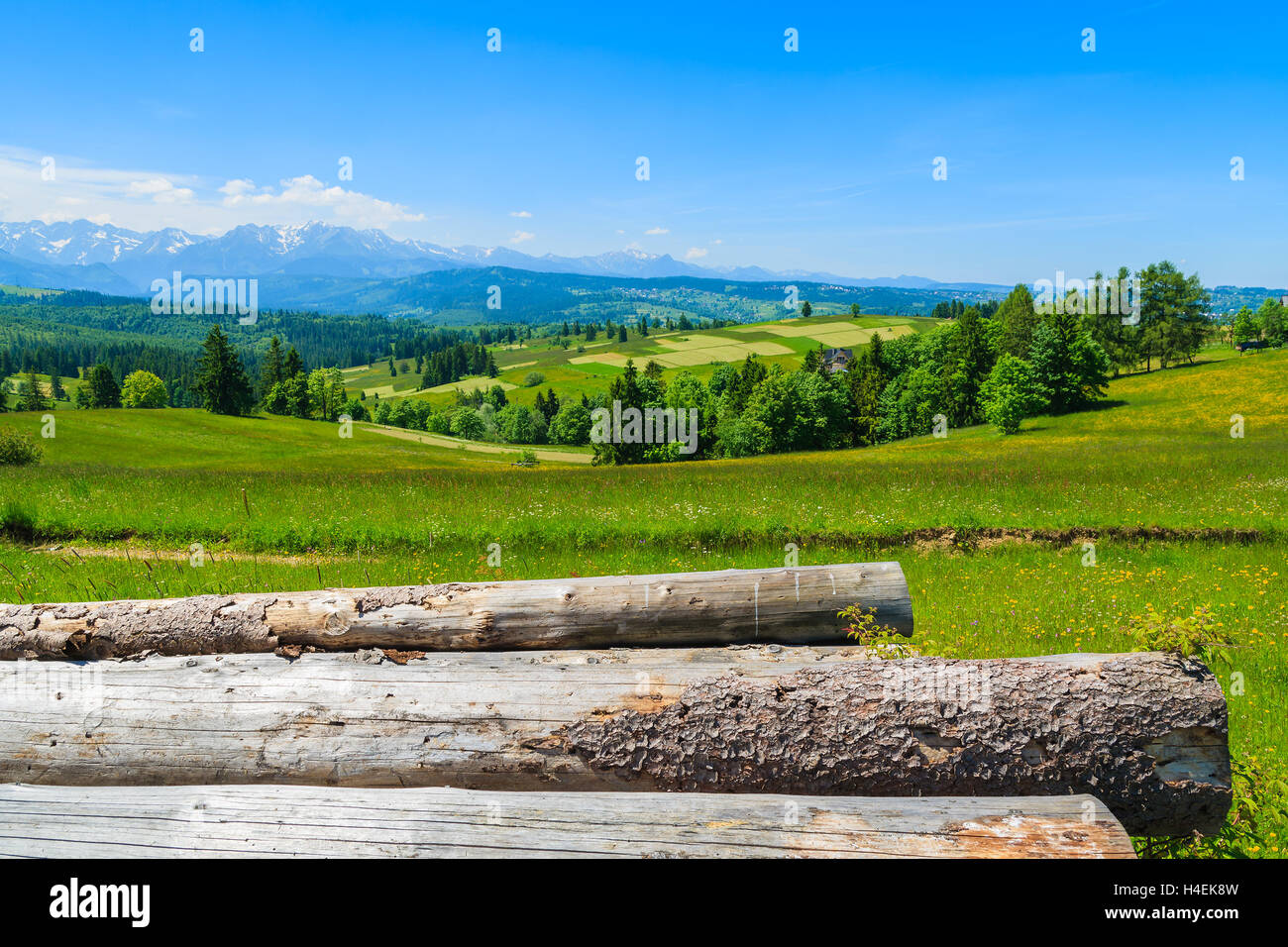 Wood logs on green meadow with mountains view, Lapszanka, Tatry Mountains Stock Photo