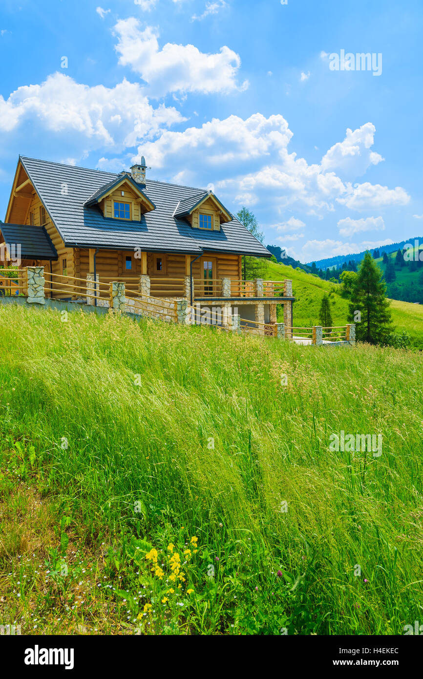 Traditional wooden mountain house on green field in summer, Szczawnica, Beskid Mountains, Poland Stock Photo