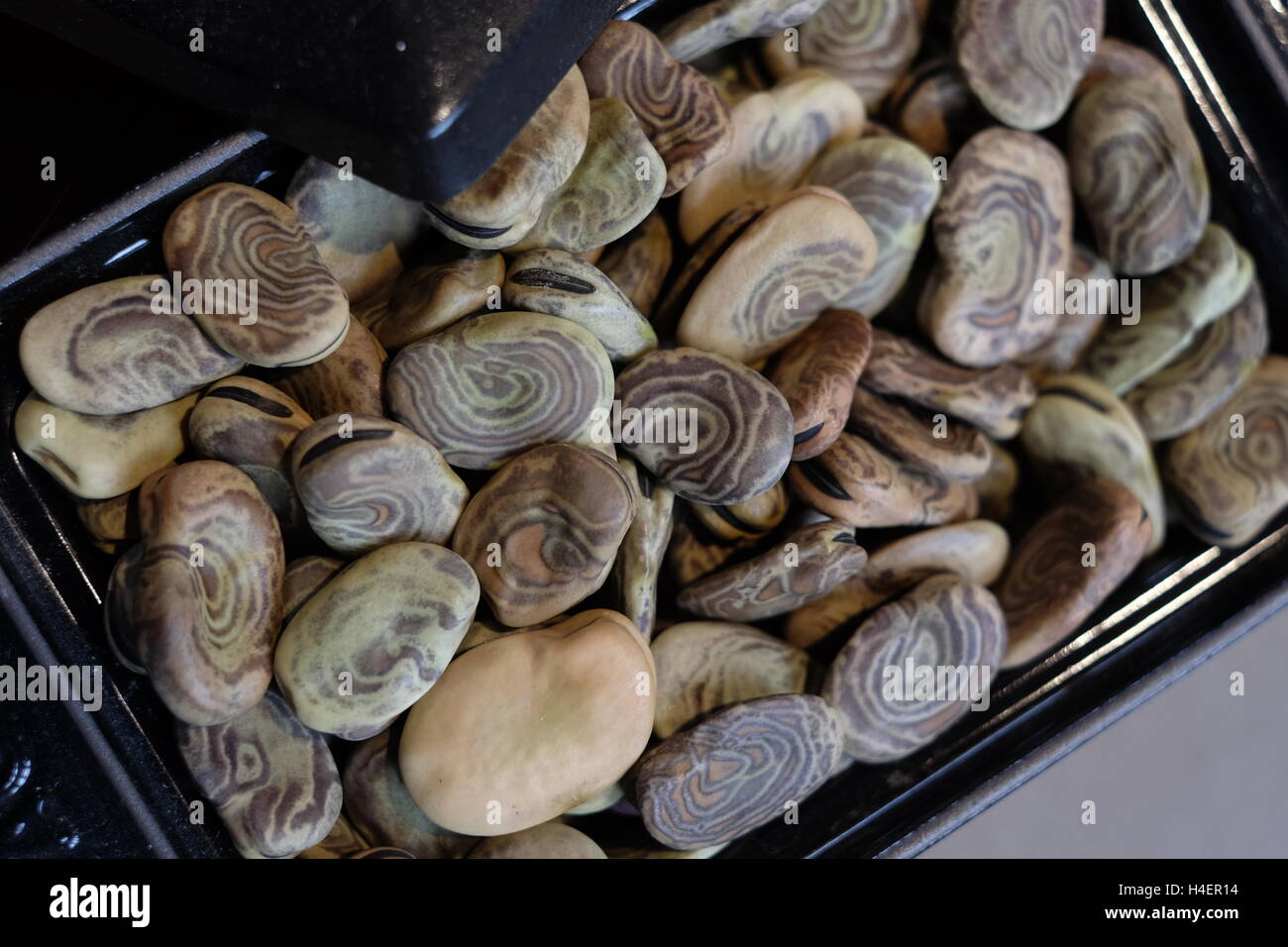 Bowl with Peruvian  typical , beans. Stock Photo