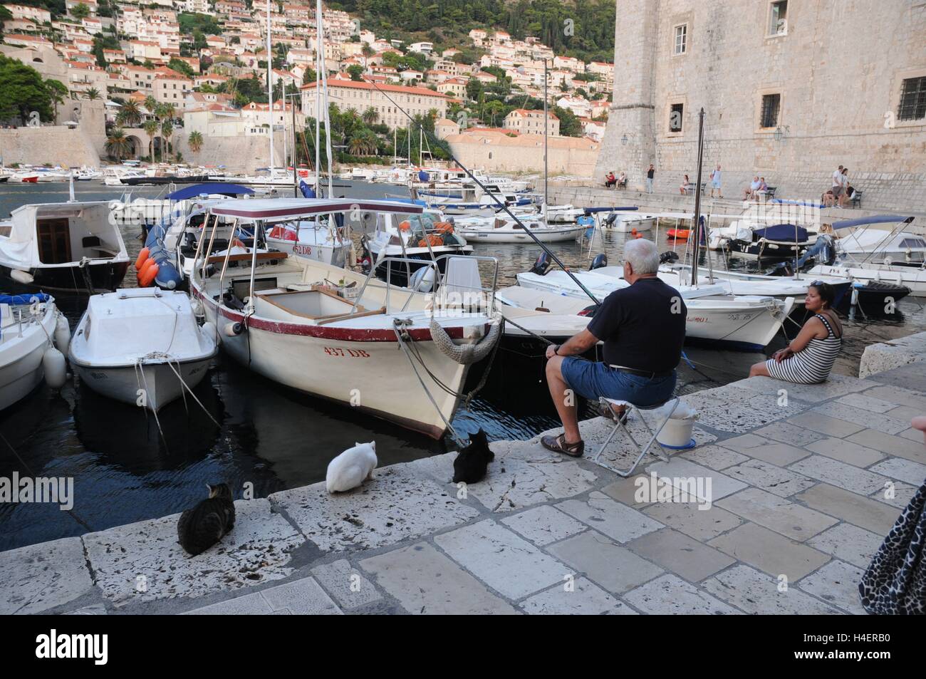 https://c8.alamy.com/comp/H4ERB0/a-man-fishing-alongside-cats-in-the-harbour-in-dubrovnik-H4ERB0.jpg