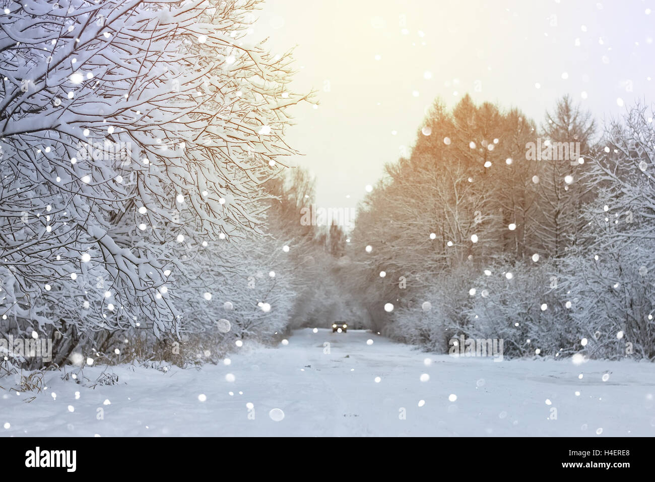 winter road in the forest Stock Photo - Alamy