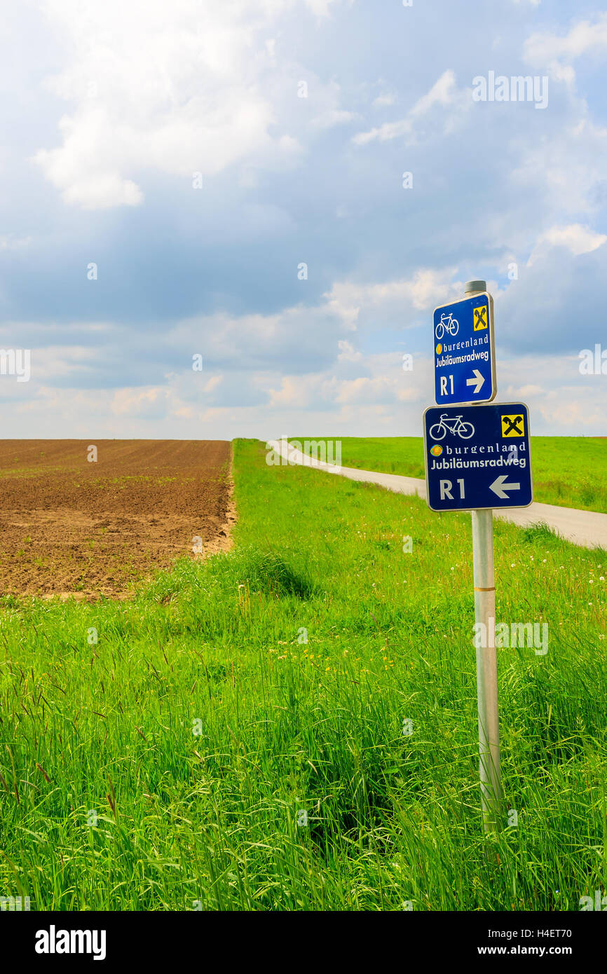Rural road in green farming field and blue sky with white clouds, Burgenland, southern Austria Stock Photo